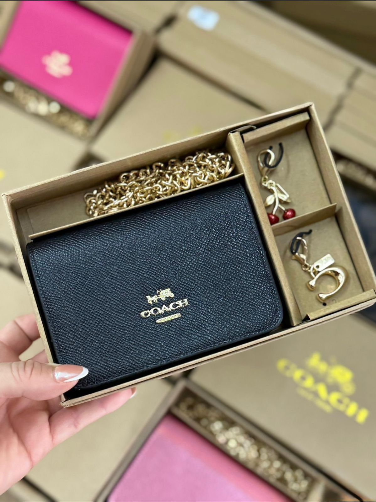 Boxed Mini Wallet On A Chain Premium Quality