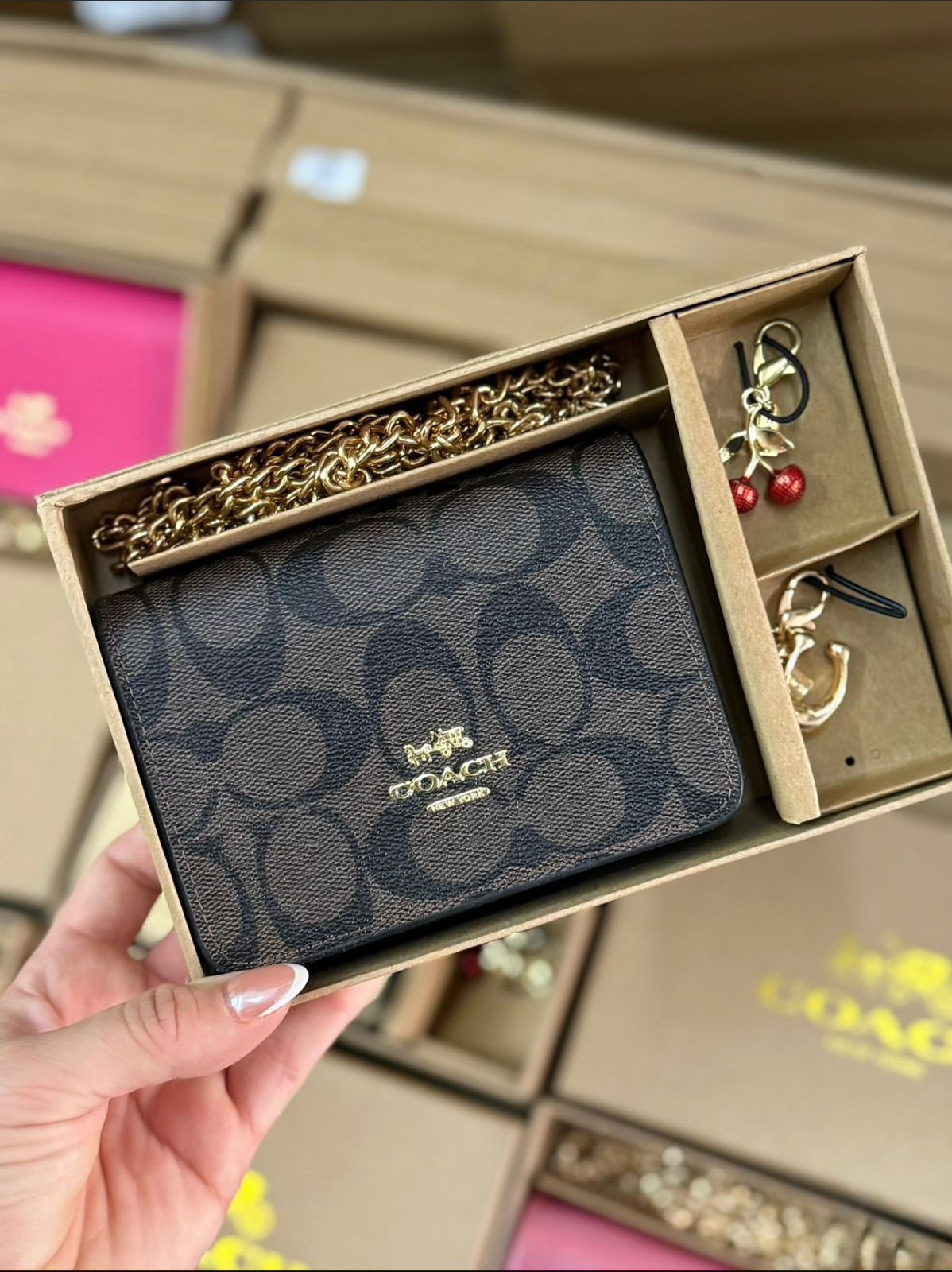 Boxed Mini Wallet On A Chain Premium Quality